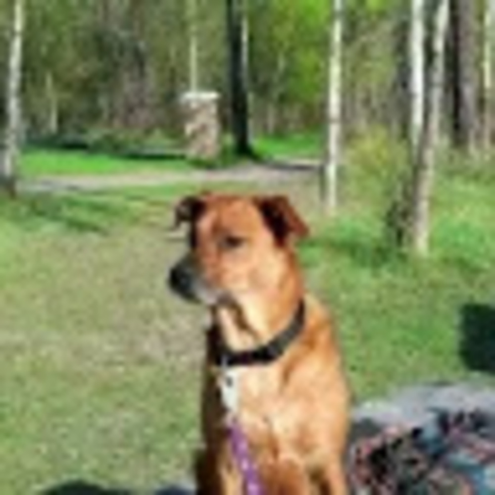 Meet your Posher, Crystal